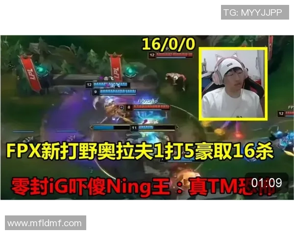 深入分析FPX战队在王者荣耀中的实力与战术优势