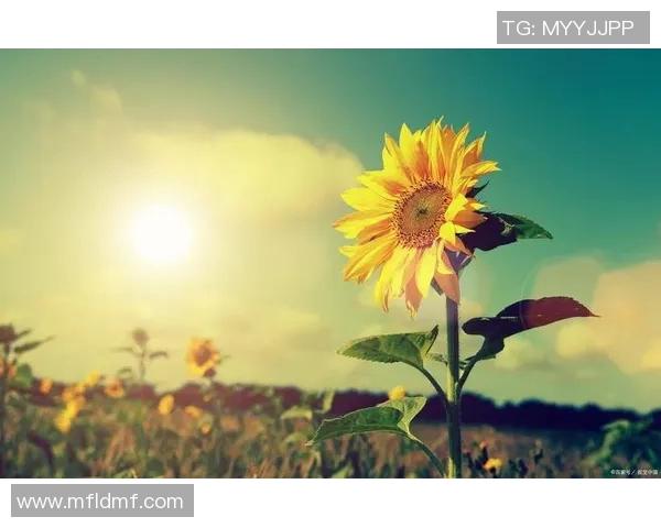 吕俊虎的成长之路：从平凡到卓越的奋斗历程与人生启示