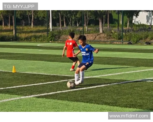 坎塞洛的足球之路:从青训崭露头角到世界舞台的闪耀时刻 坎塞洛的足球之路:从青训崭露头角到世界舞台的闪耀时刻