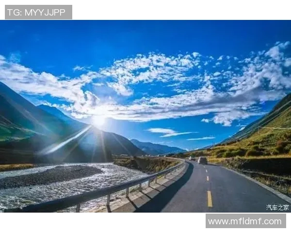 飞盘追梦：周秀英的运动人生与心灵对话之旅