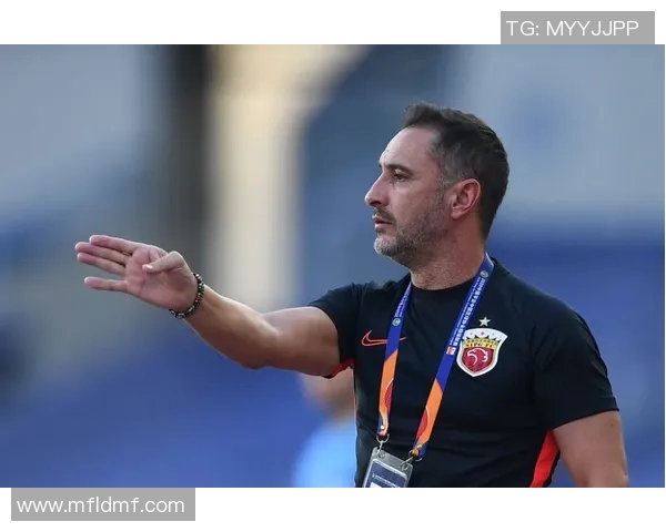 利安尼沙与桑坦德的精彩对决分析与赛后点评